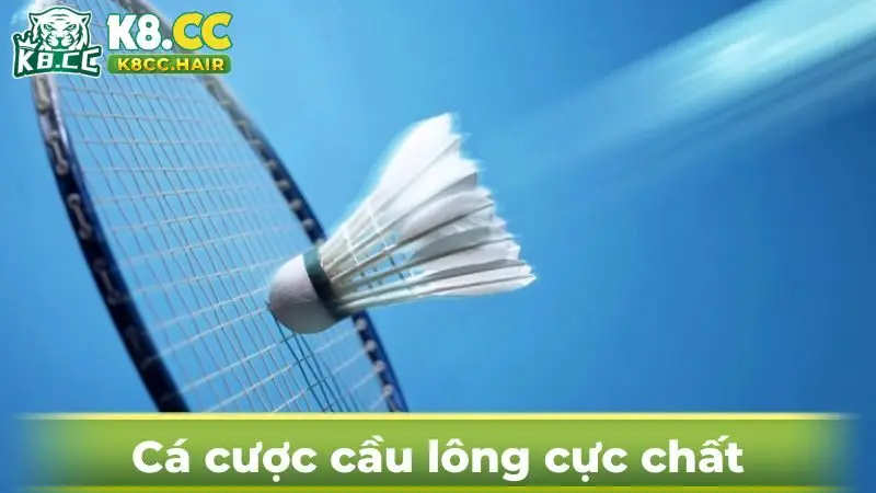 Cá cược cầu lông mang đến kèo cược cực thơm